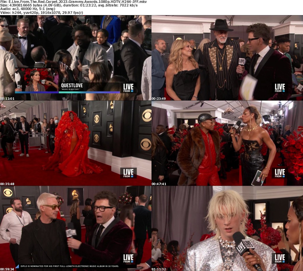 E Live From the Red Carpet 2023 Grammy Awards HDTV H264RBB ReleaseBB