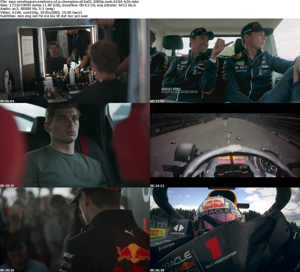 Max Verstappen Anatomy of a Champion S01E01 1080p WEB h264B2B ReleaseBB