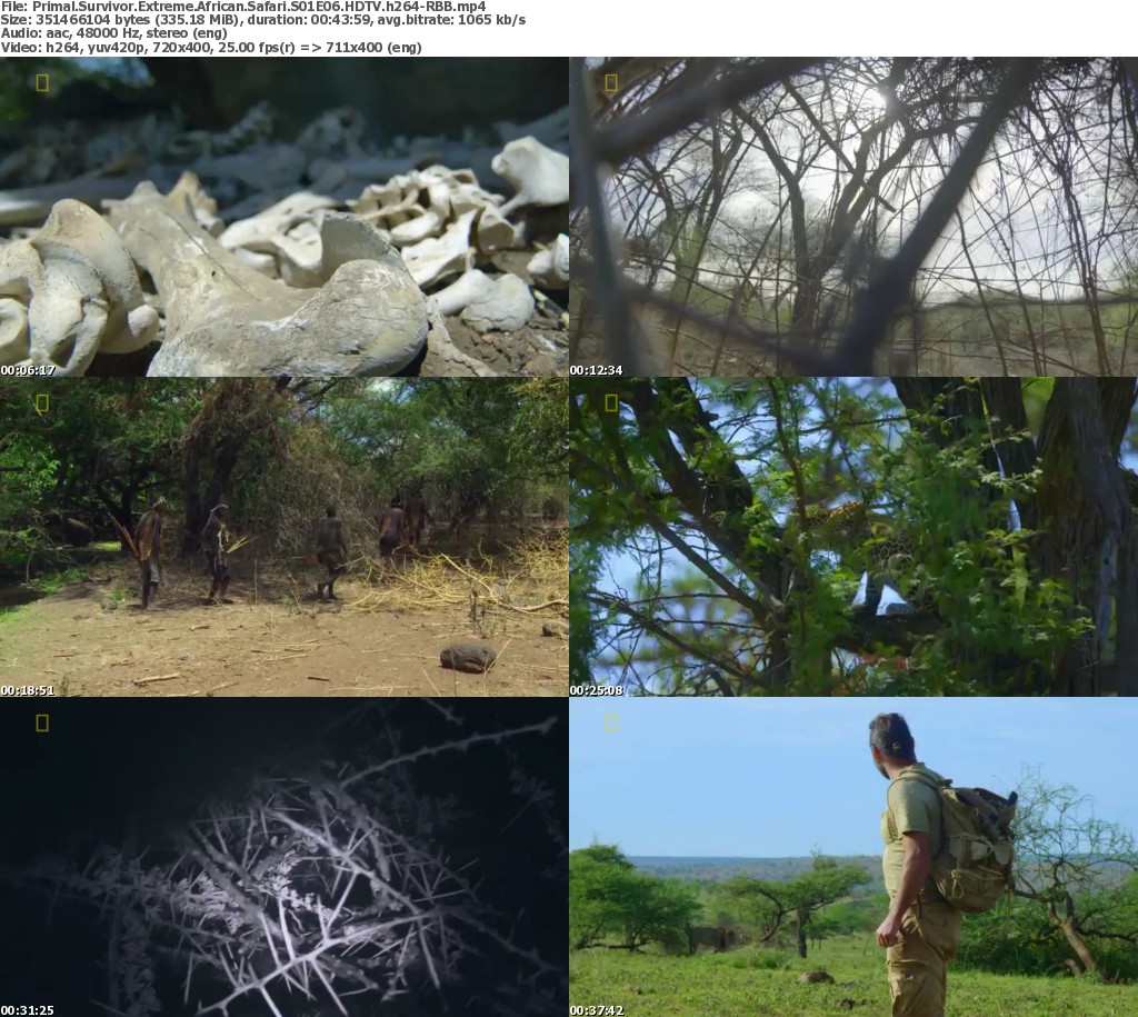 Primal Survivor Extreme African Safari S01e06 Web Dl X264 Jive Releasebb 