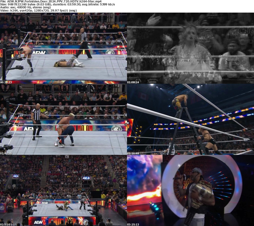 AEW NJPW Forbidden Door 2024 PPV 720p WEB H264HEEL ReleaseBB