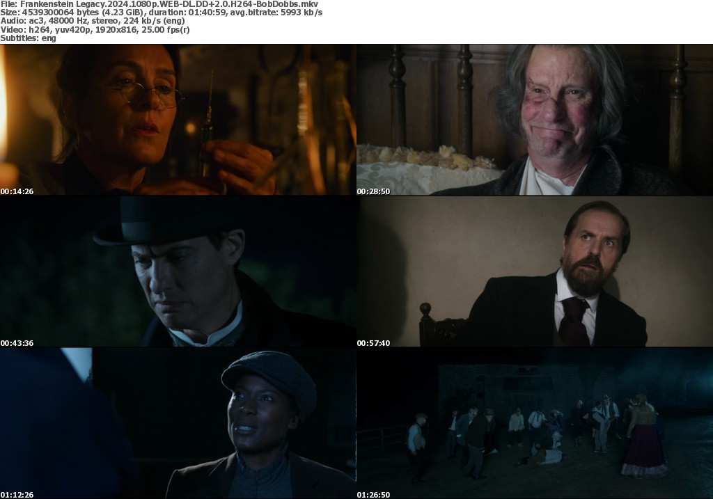 Frankenstein Legacy 2024 1080p WEBDL H264BobDobbs ReleaseBB