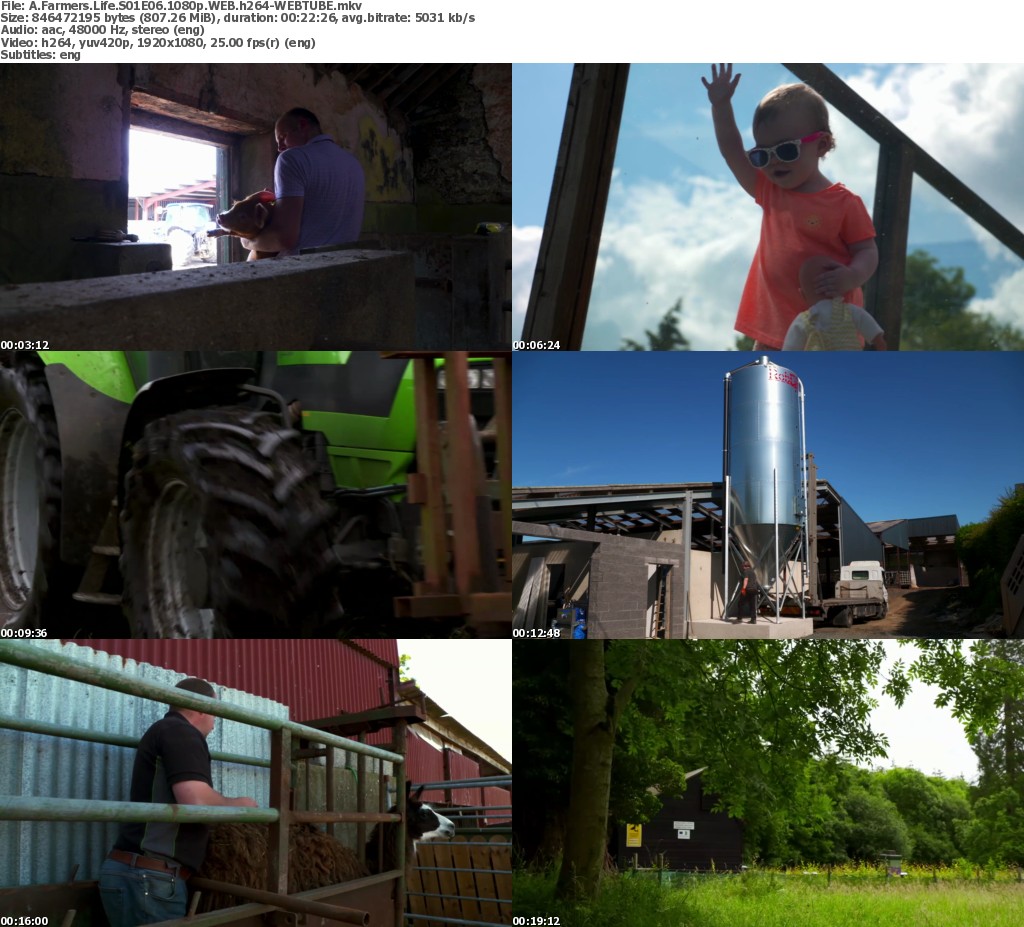 h264_omx h264_omx